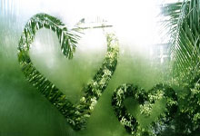 旺财28：意甲前瞻｜拉齐奥1-0都灵：争四掉链子，蓝鹰急需反弹，迎来劲敌.